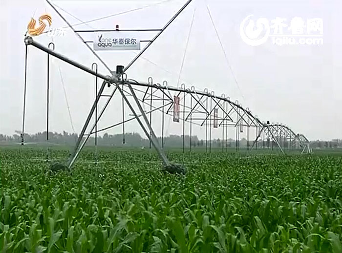 山东扶持新型农业经营主体，节水灌溉项目获得成功
